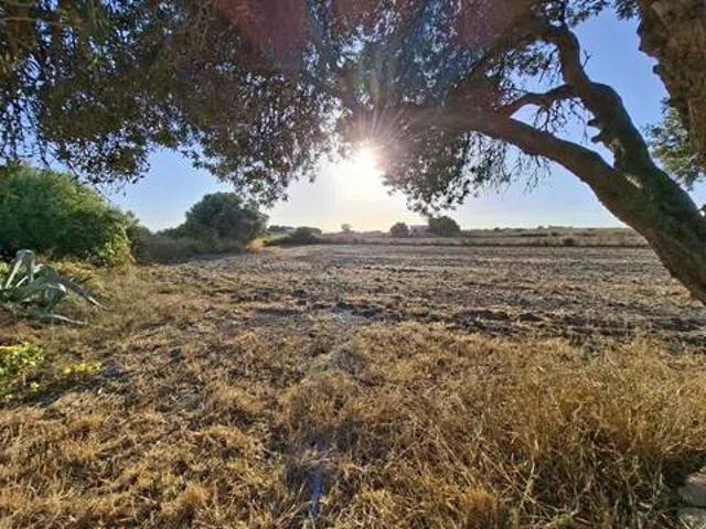 Terreno en Venta en Chiclana de la Frontera