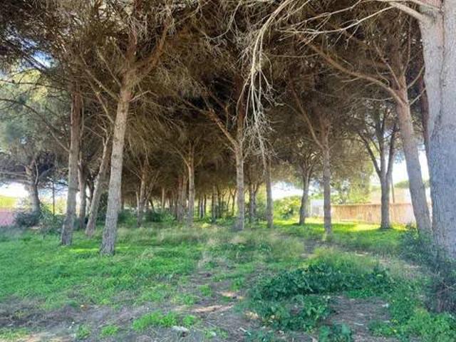 Terreno en Venta en Chiclana de la Frontera