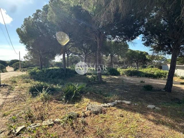 Terreno en Venta en Chiclana de la Frontera