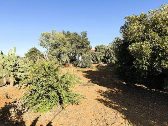 Terreno en Venta en Chiclana de la Frontera