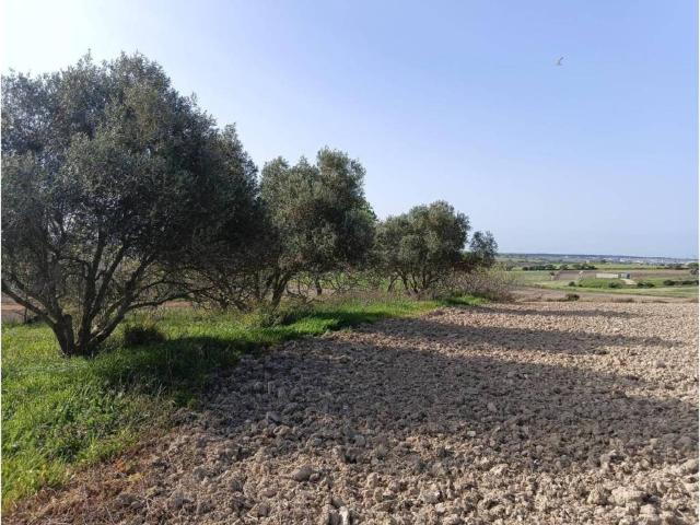 Terreno en Venta en Chiclana de la Frontera
