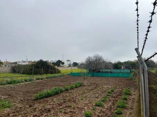 Terreno en Venta en Chiclana de la Frontera