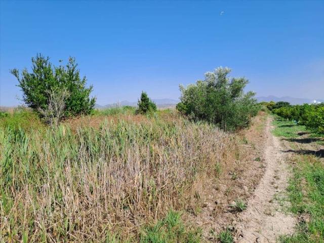Terreno en Venta en Chilches Xilxes