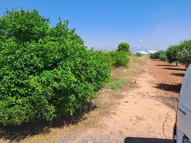 Terreno en Venta en Chilches Xilxes