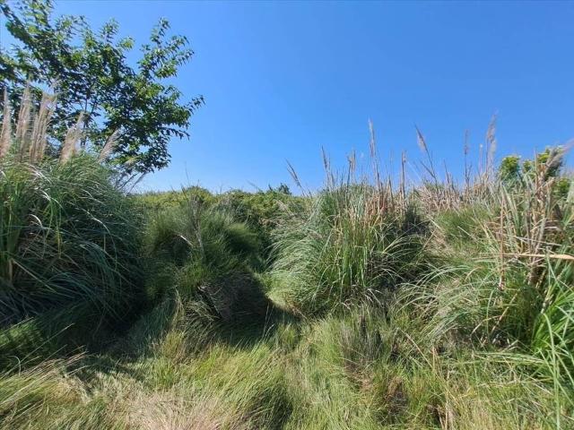 Terreno en Venta en Chilches Xilxes