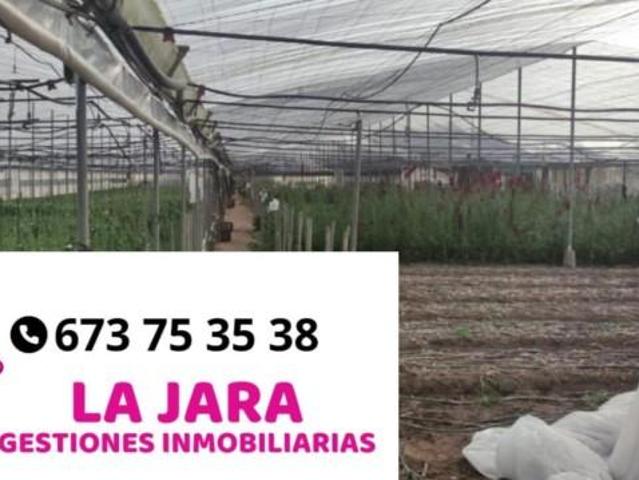 Terreno en venta en Chipiona, Avenida de Jerez, 11550