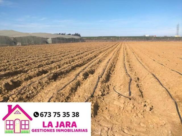 Terreno en venta en Chipiona, La Loma Baja, 11550