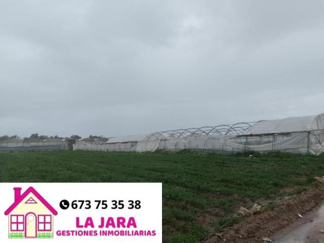 Terreno en venta en Chipiona, Las Machuelas, 11550