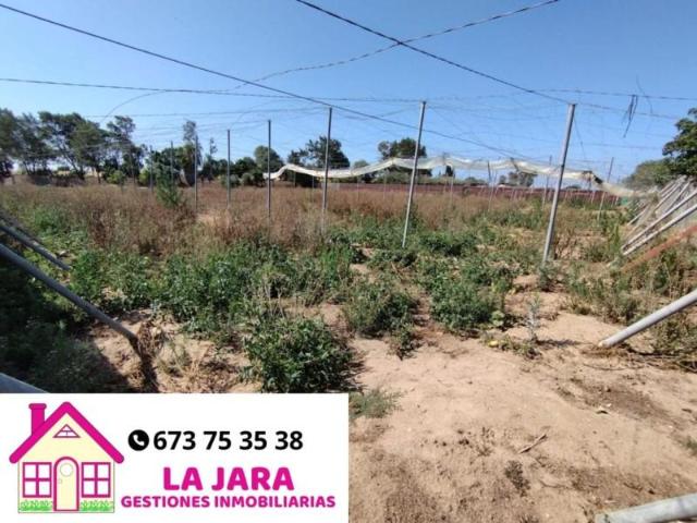 Terreno en venta en Chipiona, Vereda el Chapitel, 11550