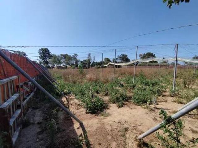 Terreno en Venta en Chipiona