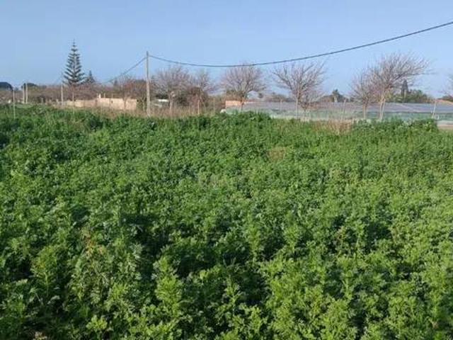 Terreno en Venta en Chipiona