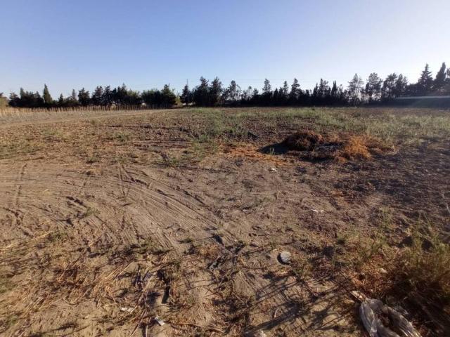 Terreno en Venta en Chipiona