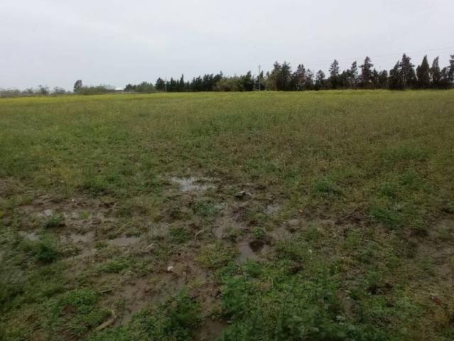 Terreno en Venta en Chipiona