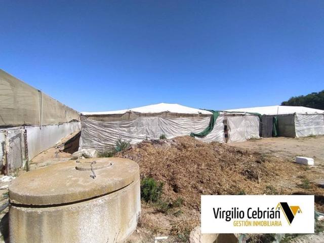 Terreno en Venta en Chipiona