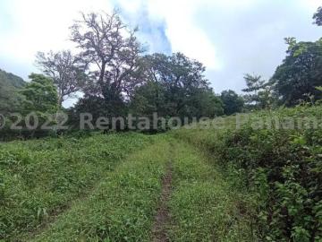 Terreno en Venta en Chiriqui Panamá 32767 m2