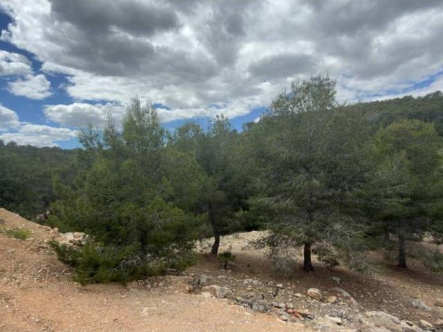 Terreno en Venta en Chiva