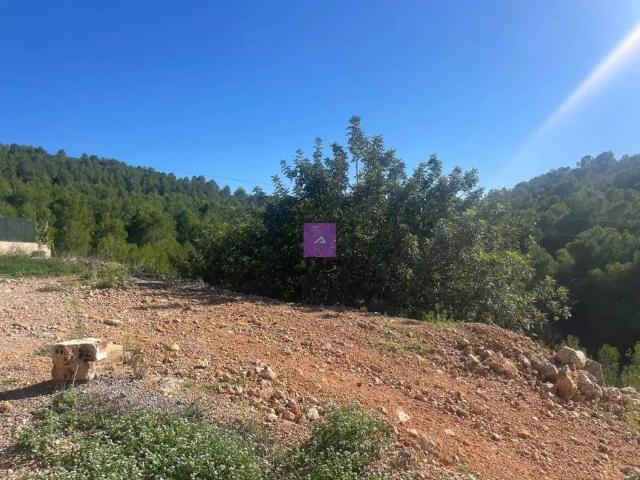 Terreno en Venta en Chiva