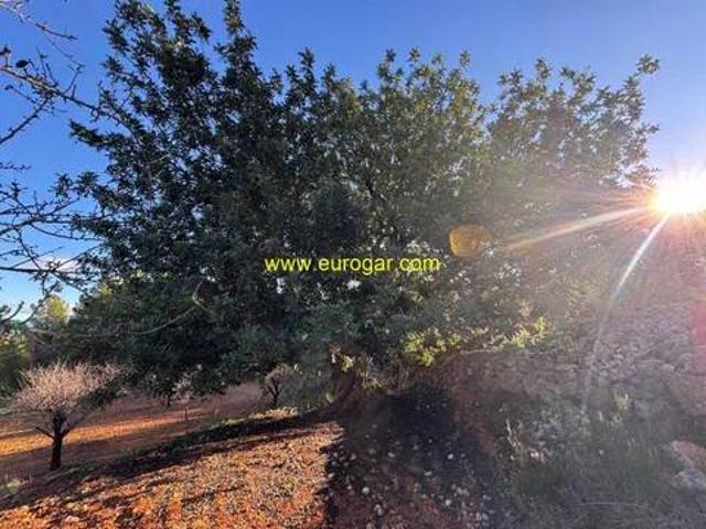 Terreno en Venta en Chiva
