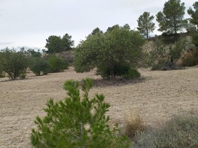 Terreno en venta, en Chulilla
