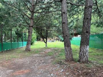 Terreno en Venta en ciénaga de González