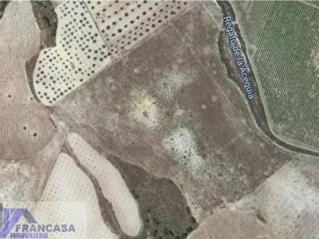 Terreno en Venta en Cieza Murcia