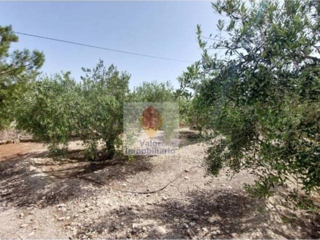 Casa rústica / Caserío en Venta en Blanca