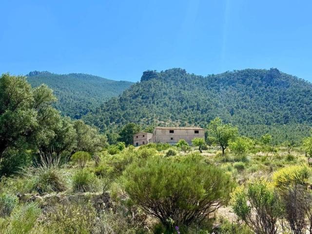 Terreno en Venta en Cieza Murcia