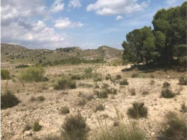 Terreno en Venta en Cieza Murcia