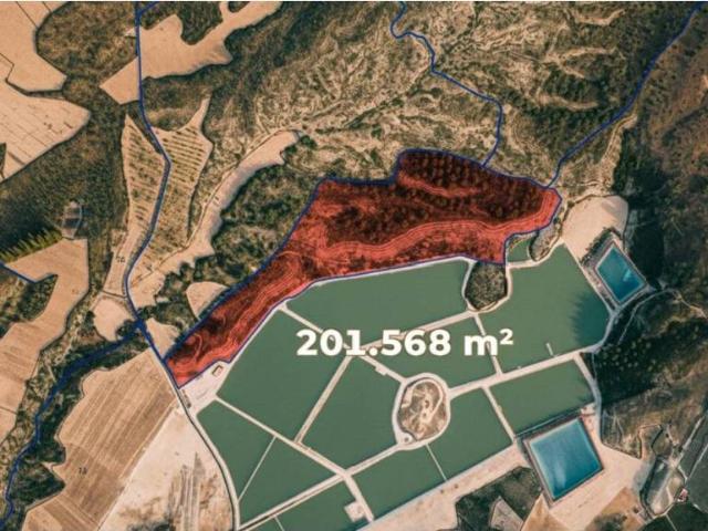 Terreno en Venta en Cieza Murcia