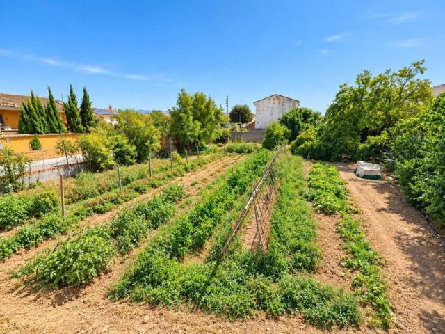 Terreno en Venta en Cijuela