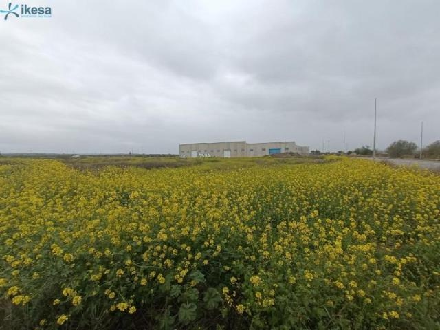 Terreno en venta en Cijuela, Centro urbano