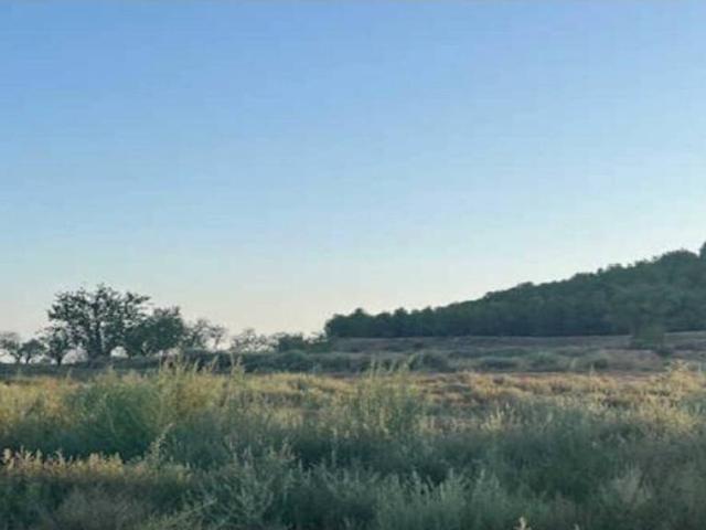 Terreno en Venta en Cintruénigo