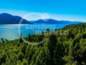 Terreno en Venta en Cisnes