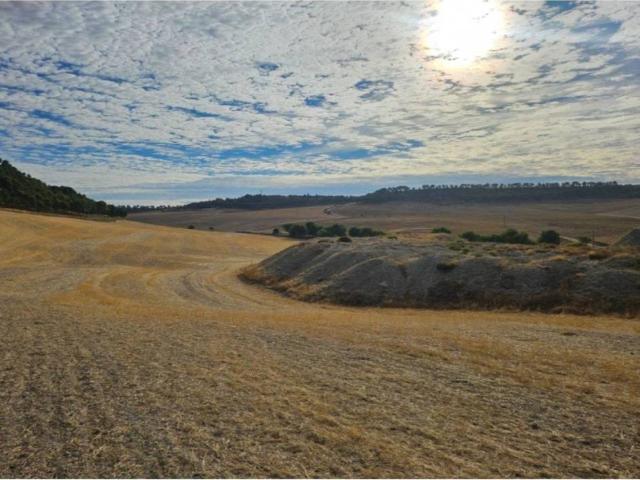 Terreno en Venta en Cistérniga