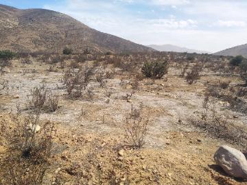 Terreno en venta en Ciudad Valle de las Palmas, Tijuana, Baja California
