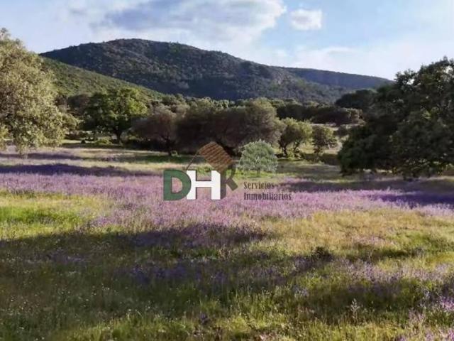 Terreno en Venta en Ciudad Real