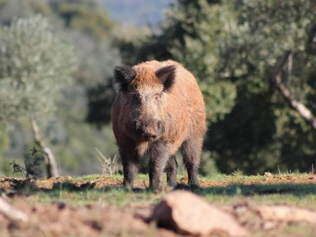 Terreno en Venta en Ciudad Real