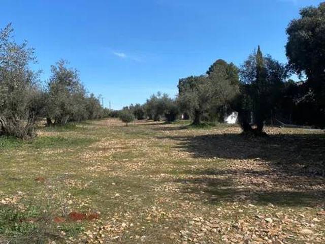 Terreno en Venta en Ciudad Real