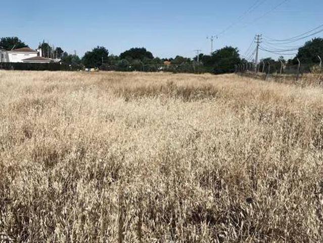 Terreno en Venta en Ciudad Real