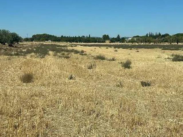 Terreno en Venta en Ciudad Real