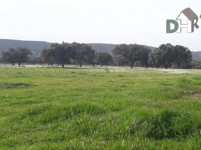 Terreno en Venta en Ciudad Real