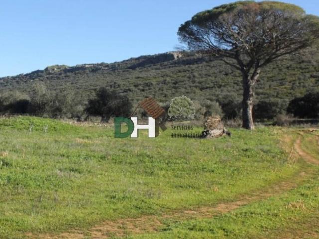 Terreno en Venta en Ciudad Real