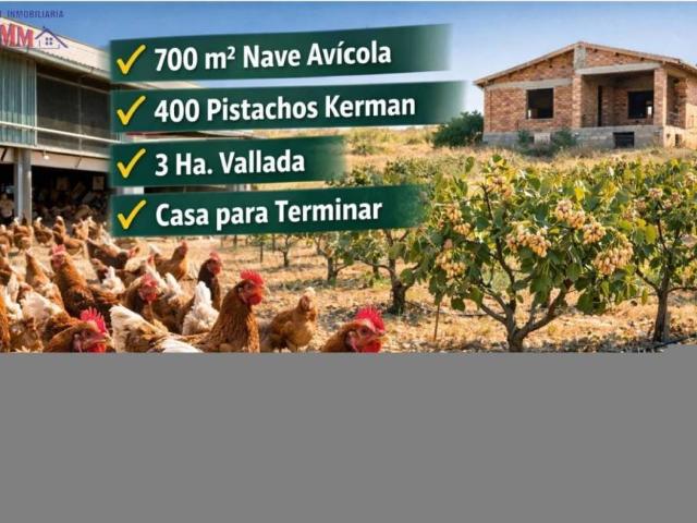 Terreno en Venta en Alcázar de San Juan
