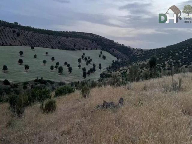 Terreno en Venta en Ciudad Real
