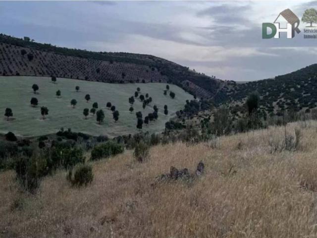 Terreno en Venta en Ciudad Real