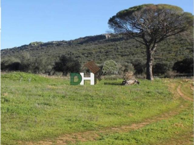 Terreno en Venta en Ciudad Real
