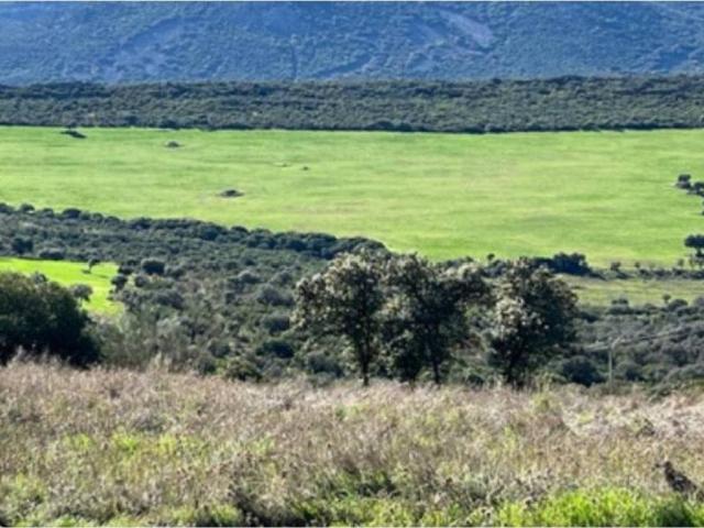 Terreno en Venta en Ciudad Real