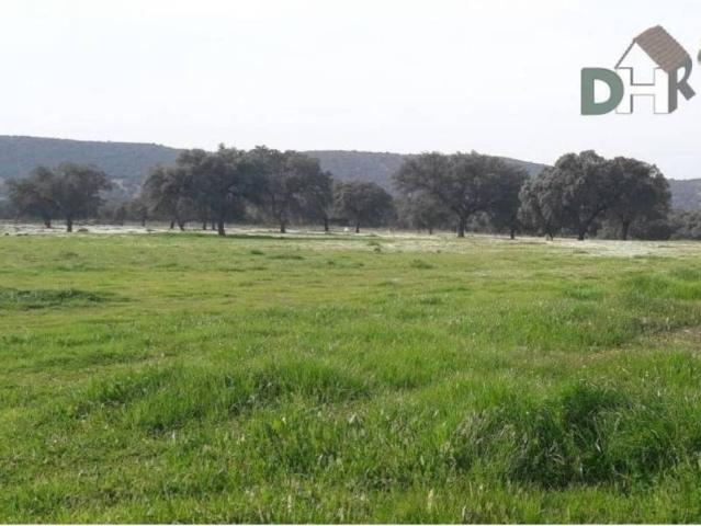 Terreno en Venta en Ciudad Real