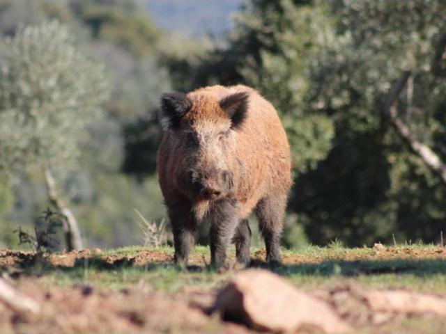 Terreno en Venta en Ciudad Real