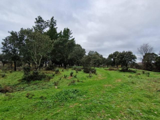 Terreno en venta en Ciudad Rodrigo
